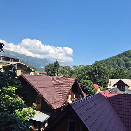 Luxroom In Greenfuture Sinaia Eksteriør billede