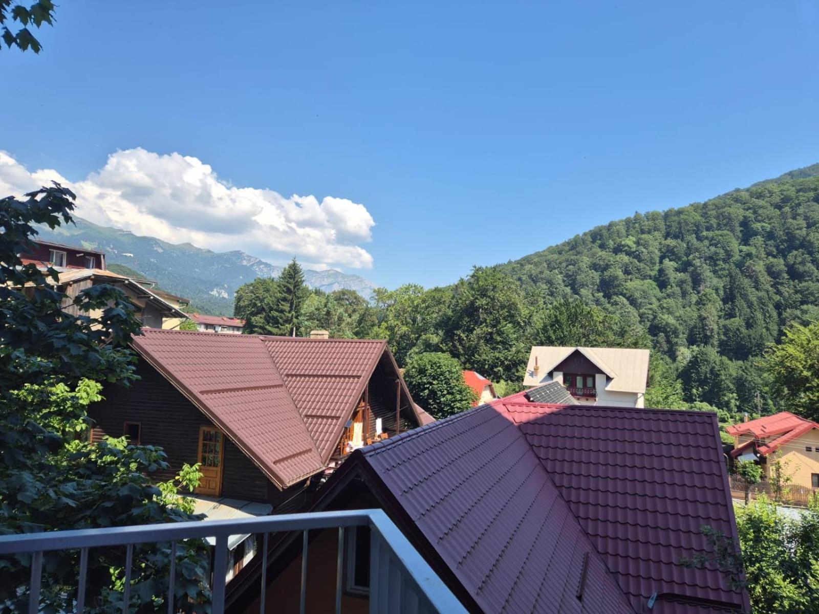 Luxroom In Greenfuture Sinaia Eksteriør billede